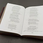 Книга Высоцкий "Прерванный полёт" — фотография 4