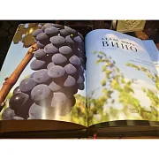 Атлас мира. Вино — книга для мужчины — фотография 3
